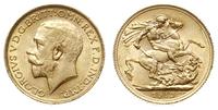 funt 1912, Londyn, złoto 7.98 g, piękny