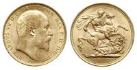 1 funt 1907/M, Melbourne, złoto 7.98 g, Spink 39