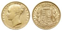 1 funt 1877/S, Sydney, złoto 7.97 g, Spink 3855