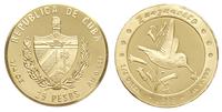25 peso 1999, Koliber hawański, złoto 7.89 g (1/