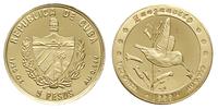 5 peso 1999, Koliber hawański, złoto 1.56 g (1/2