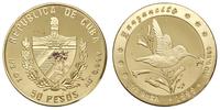 50 peso 1999, Koliber hawański, złoto ''999'', 1