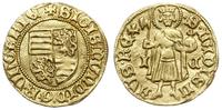 goldgulden 1387-1410, Koszyce, Aw: Tarcza herbow
