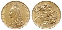 1 funt 1893 M, Melbourne, złoto 7.99 g, bardzo ł