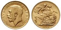 1 funt 1914, Londyn, złoto 7.99 g, Fr. 404, S. 3