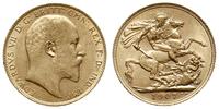 funt 1907, Londyn, złoto 7.98 g, Spink 3969