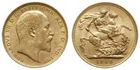 funt 1908 M, Melbourne, złoto 7.98 g, Spink 3971