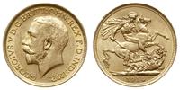 funt 1914/S, Sydney, złoto 7.98 g, Spink 4003