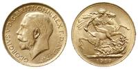 1 funt 1919/P, Perth, złoto 7.99 g. piękny, Spin
