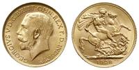1 funt 1928/SA, Pretoria, złoto 7.98 g, piękny, 