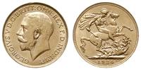 1 funt 1924/P, Perth, złoto 7.97 g, Spink 4001