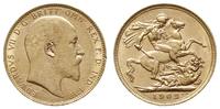 1 funt 1902/P, Perth, złoto 7.98 g, Spink 3972