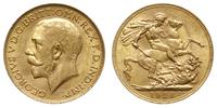 funt 1926/SA, Pretoria, złoto 7.97 g, Spink 4004