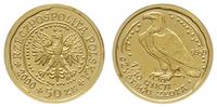 50 złotych 2000, Warszawa, Orzeł Bielik, złoto 3