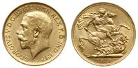 funt 1913, Londyn, złoto 7.99 g, bardzo ładny, S