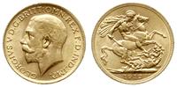 funt 1912, Londyn, złoto 7.97 g, Spink 3996