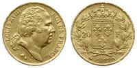 20 franków 1817 A, Paryż, złoto 6.44 g, Fr. 538,