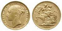 1 funt 1887 S, Sydney, złoto 7.97 g, ładne., Spi