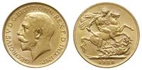 funt 1928/SA, Pretoria, złoto 7.98 g, Spink 4004