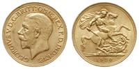 funt 1930/SA, Pretoria, złoto 7.98 g, Spink 4005