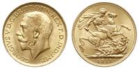funt 1911, Londyn, złoto 7.98 g, Spink 3996