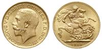 funt 1913, Londyn, złoto 7.98 g, Spink 3996