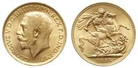 funt 1915, Londyn, złoto 7.99 g, Spink 3996