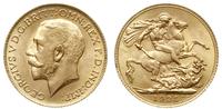funt 1925, Londyn, złoto 7.99 g, Spink 3996