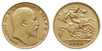 1/2 funta 1904, Londyn, złoto 3.95 g