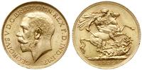 funt 1925 SA, Pretoria, złoto 7.98 g, piękny, Se