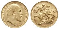 funt 1908, Melbourne, złoto 7.98 g, pięknie zach