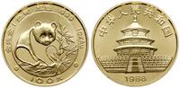 100 yuanów 1988, Miś Panda, złoto próby "999" 31