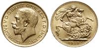 1 funt 1913, Londyn, złoto 7.99 g, pięknie zacho