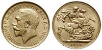1 funt 1912 S, Sydney, złoto 7.99 g, minimalne z