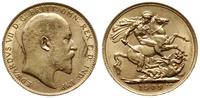 funt 1909, Londyn, złoto 7.98 g, Seaby 3969