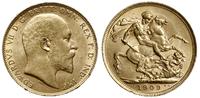 1 funt 1909 M, Melbourne, złoto 7.98 g, piękne, 