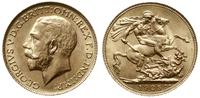 funt 1925, Londyn, złoto 7.99 g, Fr. 404, Seaby 