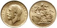 1 funt 1911, Londyn, złoto 7.98 g, pięknie zacho