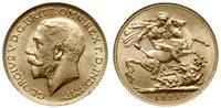 1 funt 1925, Londyn, złoto 7.99 g, pięknie zacho