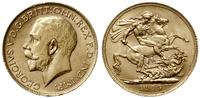 1 funt 1915/P, Perth, złoto 7.98 g, Seaby 4001