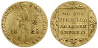 dukat 1829, Utrecht, złoto 3.49, bardzo ładny, w