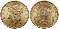 20 dolarów 1900, Filadelfia, typ Liberty Head, z