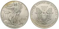 1 dolar 1996, Filadelfia, piękne
