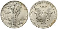 1 dolar 1989, Filadelfia, srebro 31.31 g, '999'