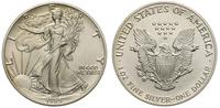 1 dolar 1989, Filadelfia, srebro 31.49 g, '999'