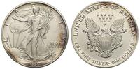1 dolar 1991, Filadelfia, srebro 31.18 g, '999'