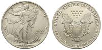 1 dolar 1991, Filadelfia, srebro 31.29 g, '999'