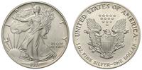 1 dolar 1991, Filadelfia, srebro 31.34 g, '999'