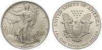 1 dolar 1992, Filadelfia, srebro 31.40 g, '999'