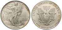 1 dolar 1993, Filadelfia, srebro 31.44 g, '999'